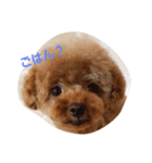 moKo1121（個別スタンプ：2）