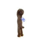 moKo1121（個別スタンプ：4）