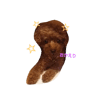 moKo1121（個別スタンプ：5）