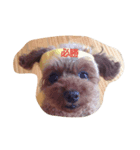 moKo1121（個別スタンプ：7）