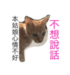 A water daily（個別スタンプ：7）