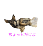 雑種のひとみです（個別スタンプ：22）