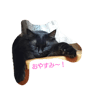 ココアの1日（個別スタンプ：4）