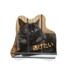 ココアの1日（個別スタンプ：14）