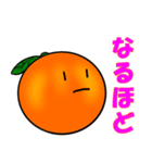 Everyday conversation of oranges（個別スタンプ：19）