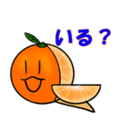 Everyday conversation of oranges（個別スタンプ：21）