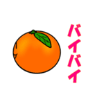 Everyday conversation of oranges（個別スタンプ：24）