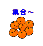 Everyday conversation of oranges（個別スタンプ：29）