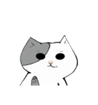 Sheldon the cat！（個別スタンプ：6）