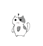 Sheldon the cat！（個別スタンプ：7）