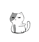 Sheldon the cat！（個別スタンプ：8）