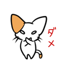 こねこのにー2（個別スタンプ：5）