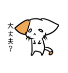 こねこのにー2（個別スタンプ：19）