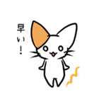 こねこのにー2（個別スタンプ：23）