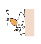 こねこのにー2（個別スタンプ：25）