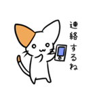 こねこのにー2（個別スタンプ：35）