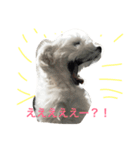 ももたくん 2（個別スタンプ：3）