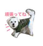 ももたくん 2（個別スタンプ：5）