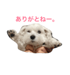 ももたくん 2（個別スタンプ：6）