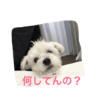 ももたくん 2（個別スタンプ：7）