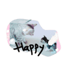 我が家可愛い猫たち（個別スタンプ：6）