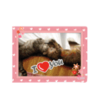 我が家可愛い猫たち（個別スタンプ：11）