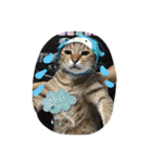 我が家可愛い猫たち（個別スタンプ：13）