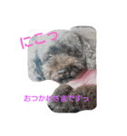 アルちゃんのきもち（個別スタンプ：1）