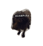アルちゃんのきもち（個別スタンプ：4）