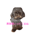 アルちゃんのきもち（個別スタンプ：7）