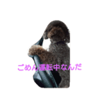 アルちゃんのきもち（個別スタンプ：8）