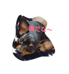 星音と心音2（個別スタンプ：2）