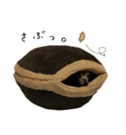 coppeeeepan（個別スタンプ：10）