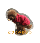 ココとくるみ（個別スタンプ：10）