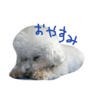 ココとくるみ（個別スタンプ：11）
