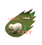 ココとくるみ（個別スタンプ：13）