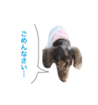 だっくすライフ（個別スタンプ：6）