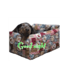 だっくすライフ（個別スタンプ：10）