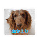 だっくすライフ（個別スタンプ：14）