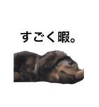 だっくすライフ（個別スタンプ：18）