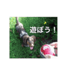 だっくすライフ（個別スタンプ：21）