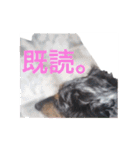 だっくすライフ（個別スタンプ：25）