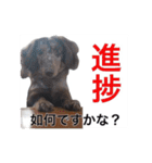 だっくすライフ（個別スタンプ：26）
