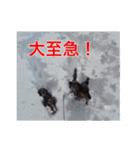 だっくすライフ（個別スタンプ：28）