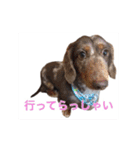 だっくすライフ（個別スタンプ：30）