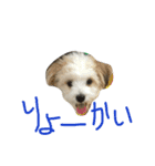 chobibi 2nd（個別スタンプ：2）