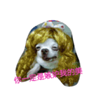 TTTxdog（個別スタンプ：8）