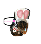 えるちゃんすたんぷ（個別スタンプ：3）