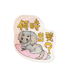 サーフィンライフなモモとくるぶし。（個別スタンプ：1）