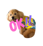 coco_na（個別スタンプ：4）